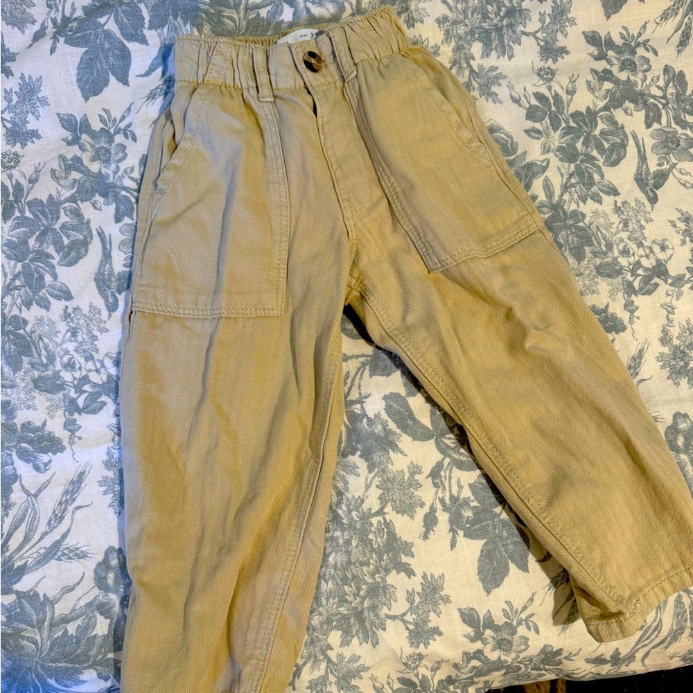 Zara pants